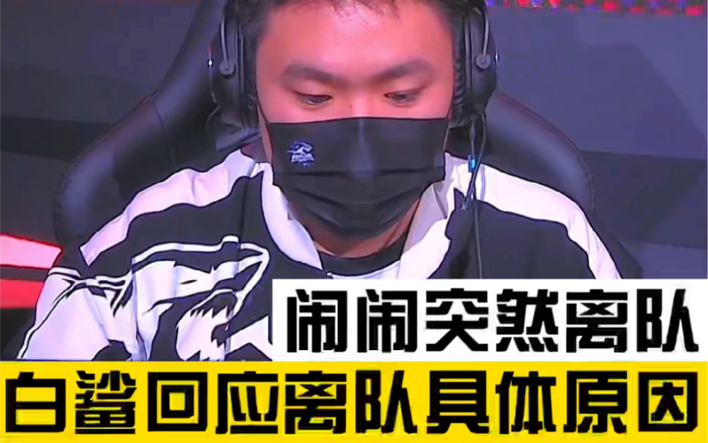 白鲨回应闹闹离队具体原因