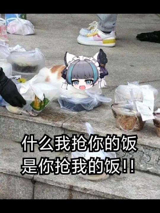 可爱的柴郡猫表情包第八弹~芜湖起飞~哔哩哔哩bilibili