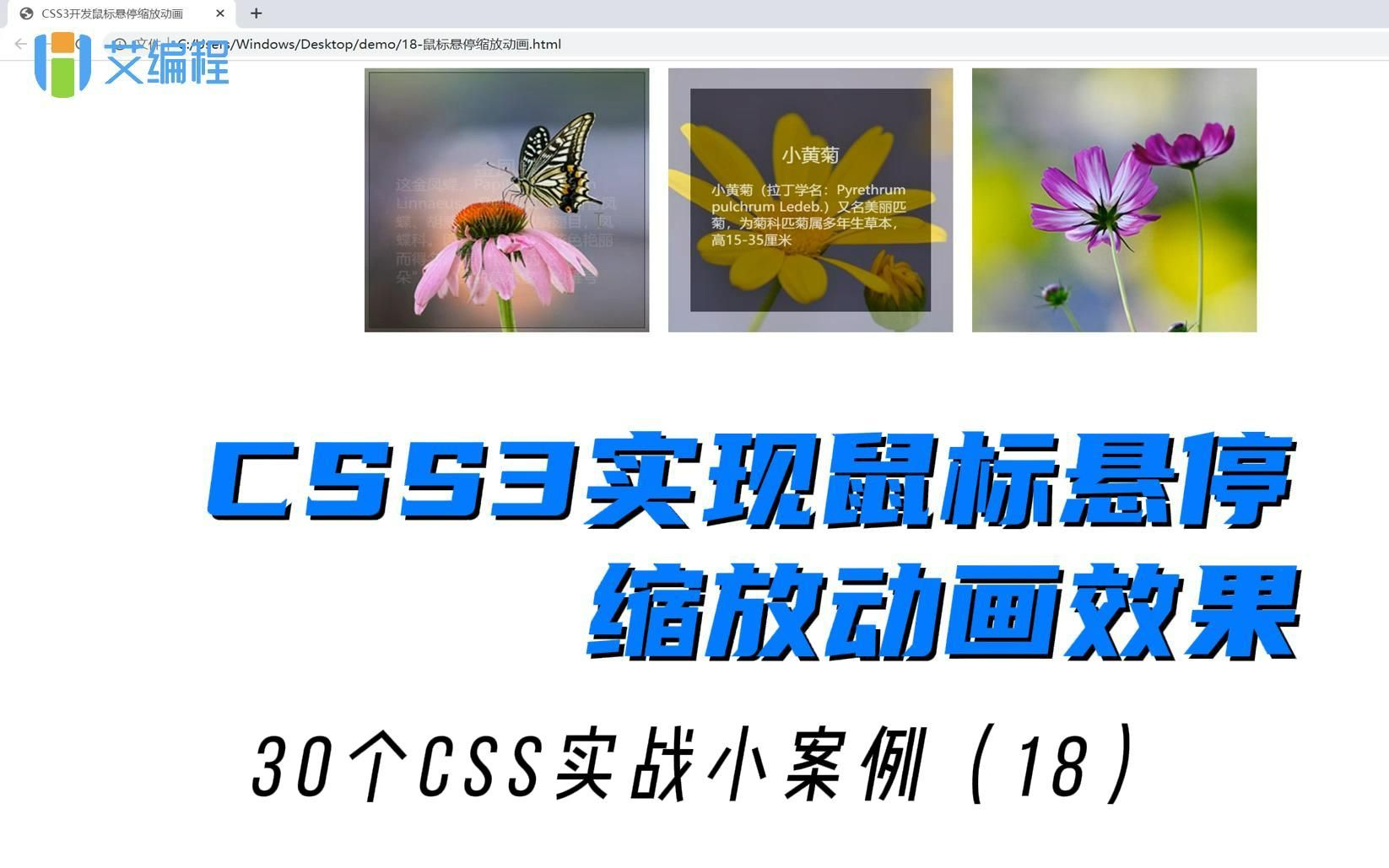 一个案例精通CSS3动画5大知识点,实战案例:鼠标悬停缩放效果动画哔哩哔哩bilibili