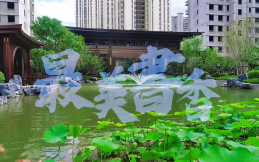 中天·书香庭院
