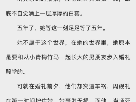 《浮生未白首》谢宴臣江穗晚.txt小说完整版哔哩哔哩bilibili