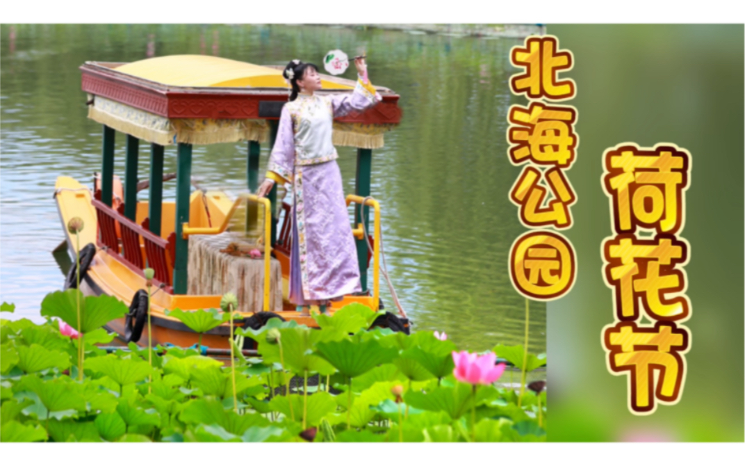 北海公园荷花节