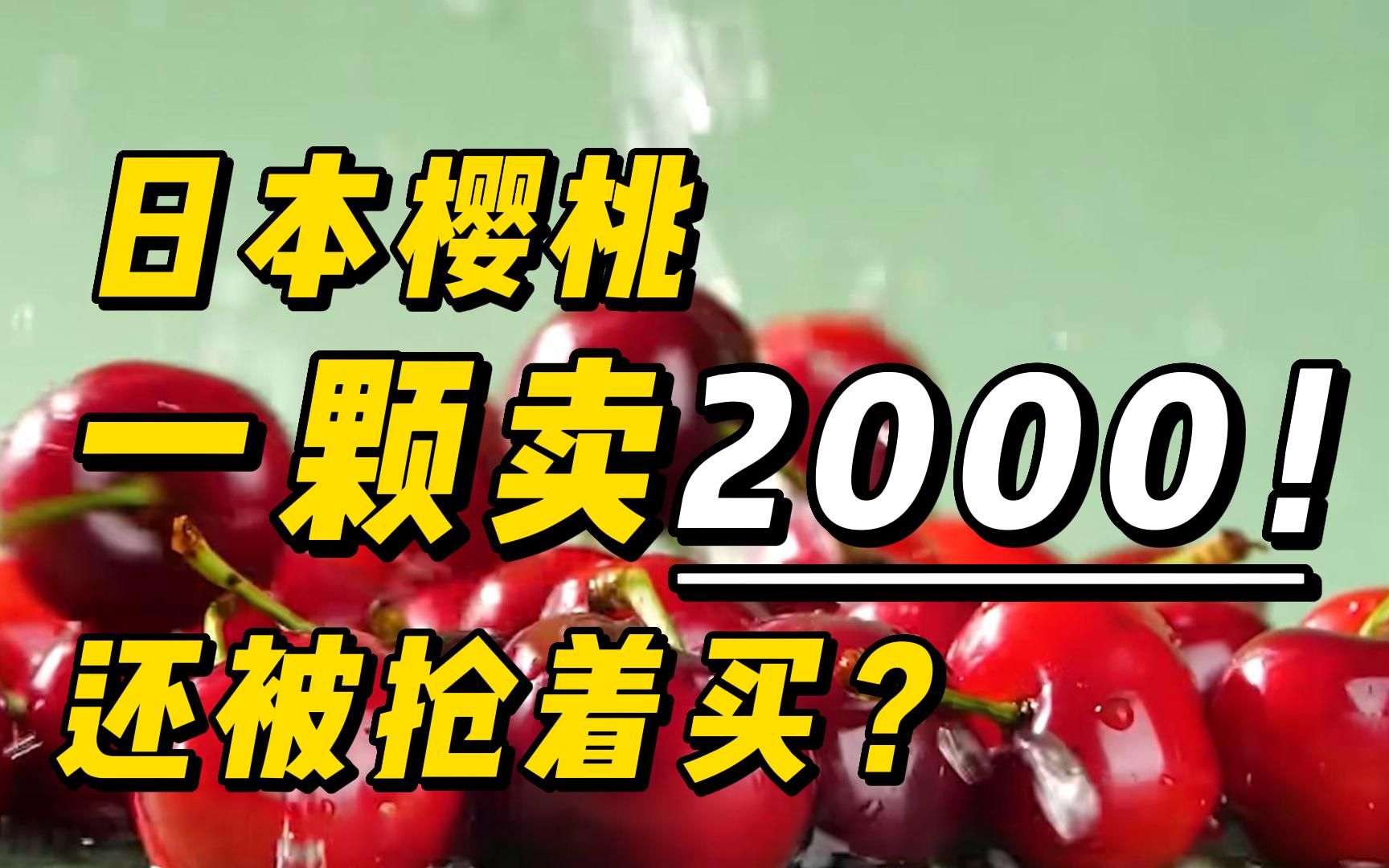 天价樱桃2000元一颗,还被抢着买,日本人距离水果自由还有多远?哔哩哔哩bilibili