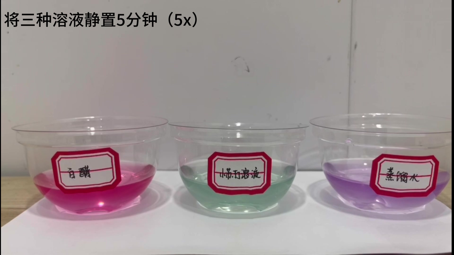 自制紫甘蓝酸碱指示剂实验(附带量化表)