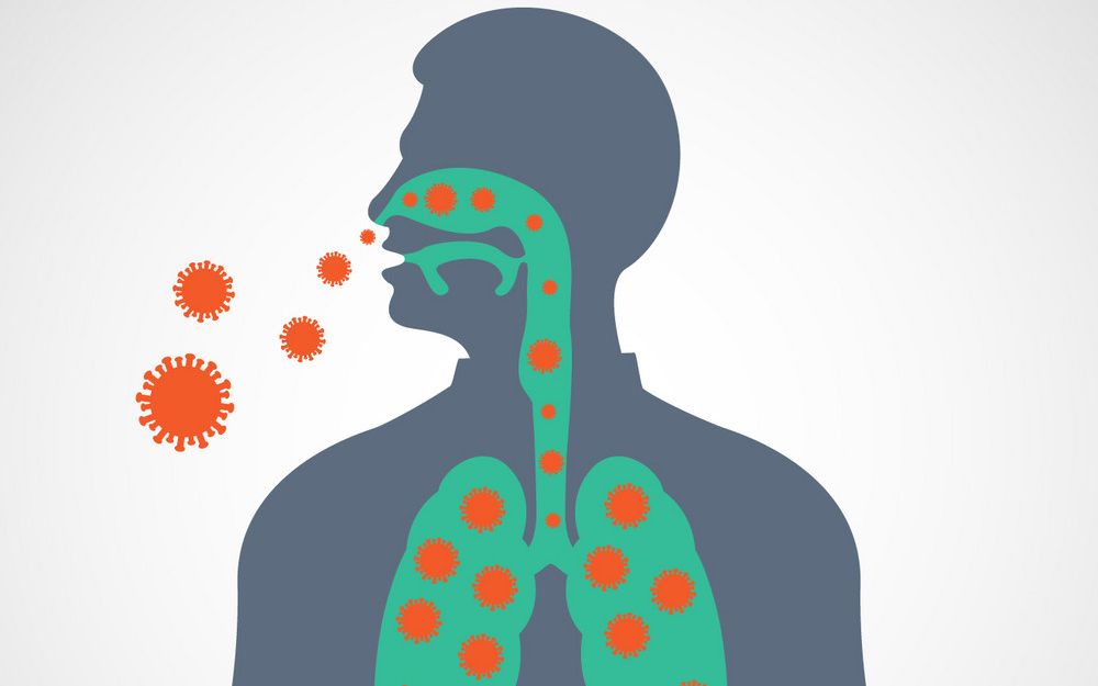 【科普】整理关于新冠肺炎的十大谣言,进来学习一下,在家更好的预防