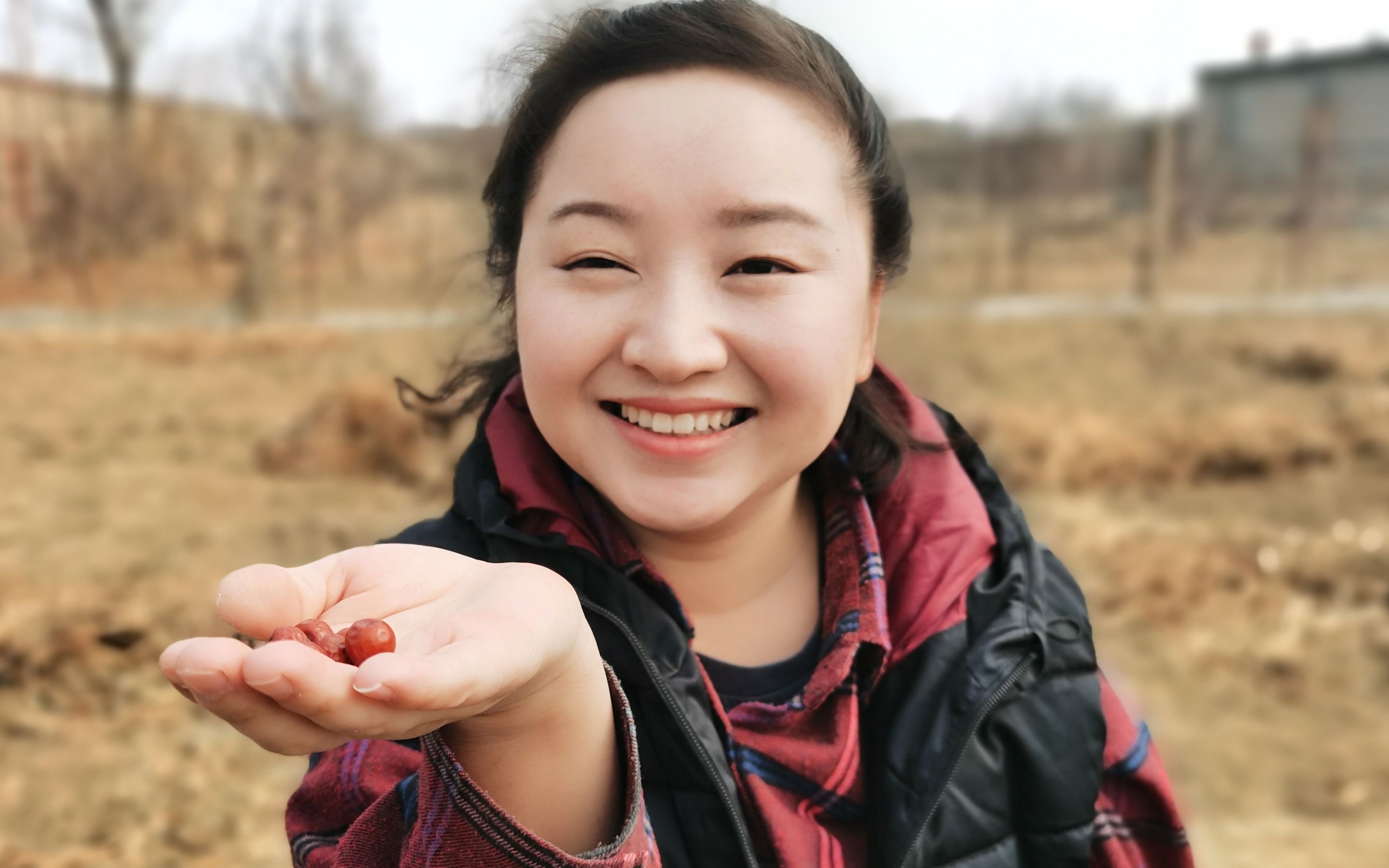 东北姑娘想要搭建凉亭,意外喜获山枣,山枣树悲剧了.