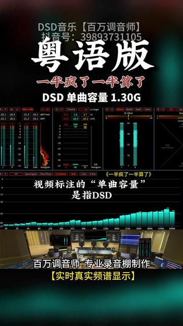 流行热歌,粤语版《一半疯了一半算了》DSD完整版 1.30G,百万调音师专业录音棚制作,顶级hifi无损音乐哔哩哔哩bilibili