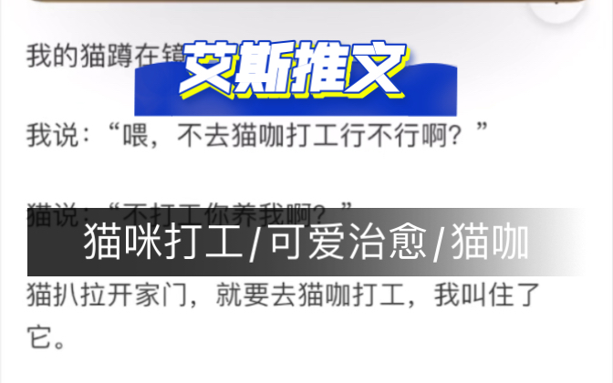 可爱小短篇:《打工猫》「人间废料」猫咪/打工人/猫咖/可爱治愈哔哩哔哩bilibili