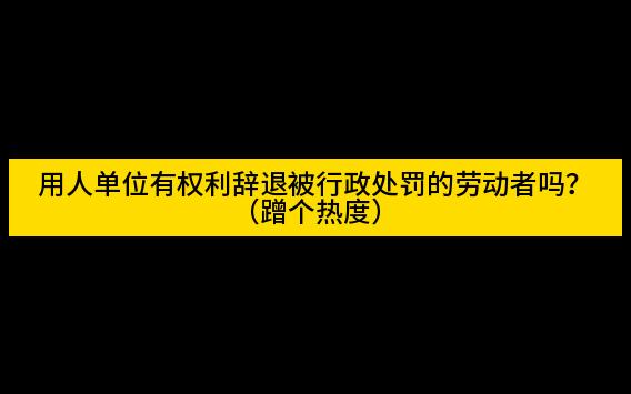 用人单位有权利辞退被行政处罚的劳动者吗?哔哩哔哩bilibili