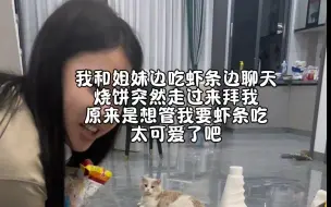 Tải video: 简直就是个小狗猫 /求助信息救救我爷爷奶奶爱心通稻和证明在动态，我不想失去他们这是我找的有趣视频