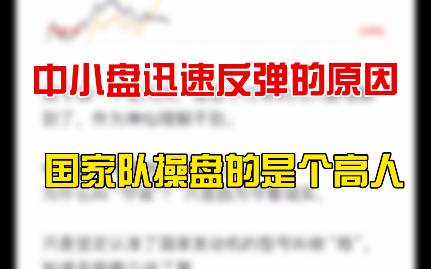 2.8 中证500,中证1000,国证2000中小盘迅速反弹的原因.国家队操盘的是高人.哔哩哔哩bilibili