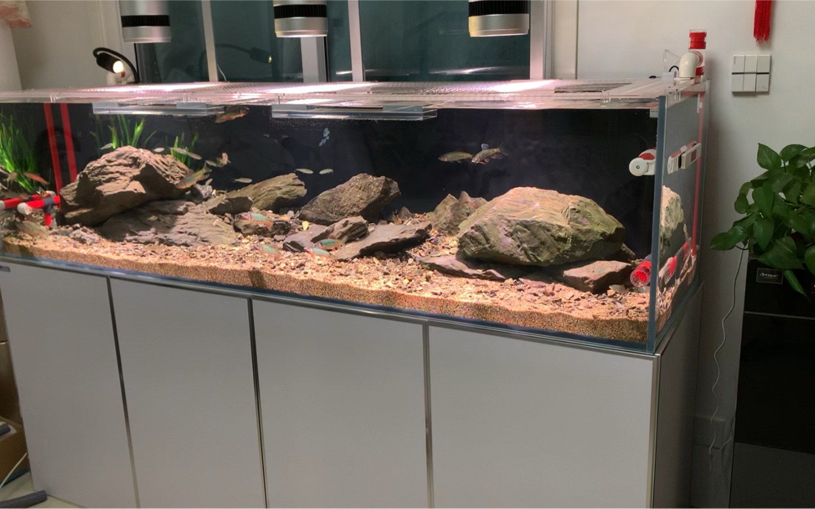 尼特利at3 pro100 显色