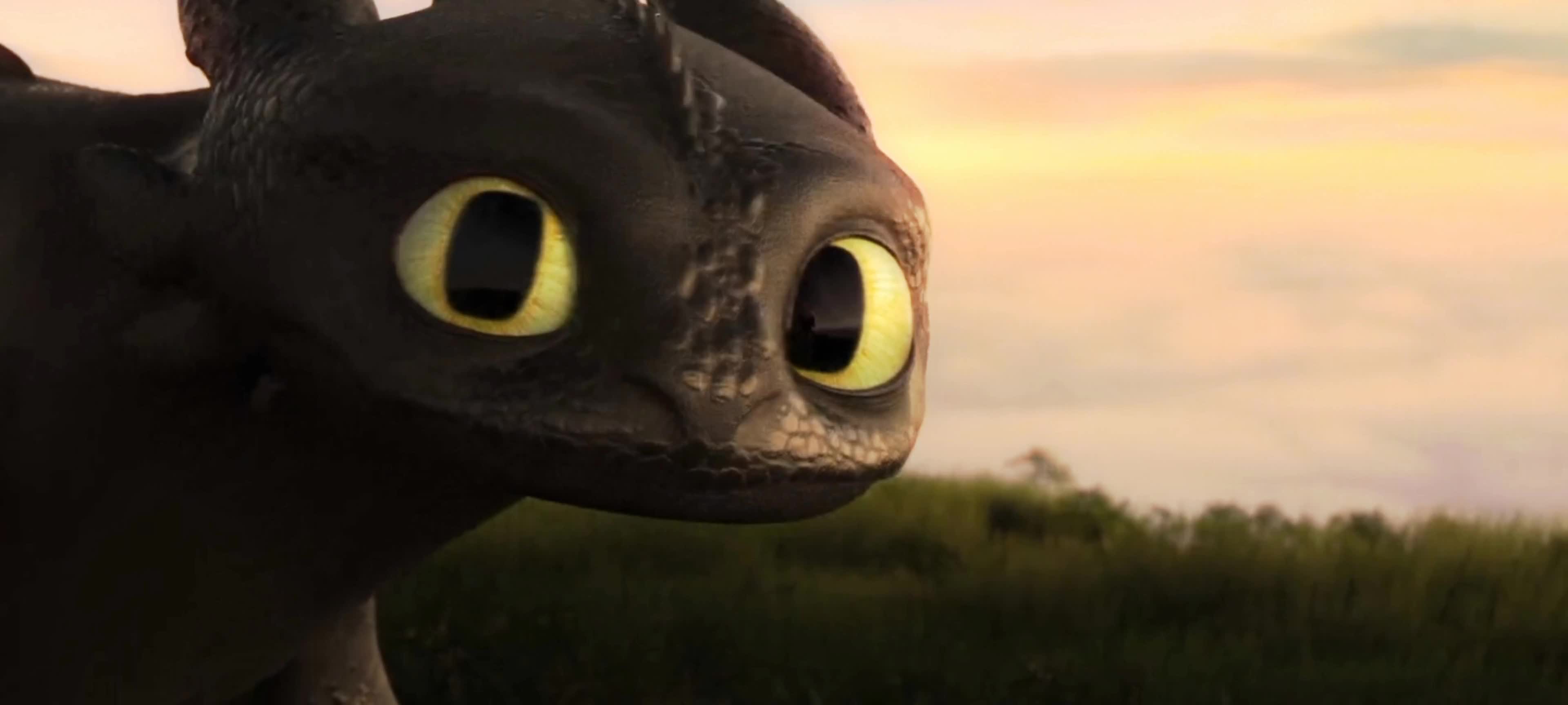 走吧,去过你自己的生活,人类世界不值得你留念,至少