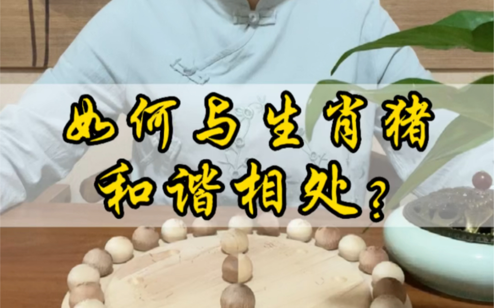 [图]怎样与生肖猪和谐相处呢？#十二生肖#生肖猪#童乐棋#KSS家棋#咏怡聊国学 @咏怡聊国学