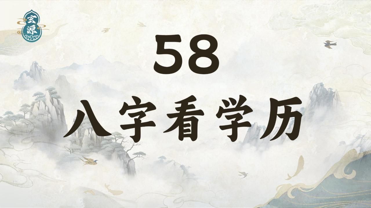 58八字看学历哔哩哔哩bilibili