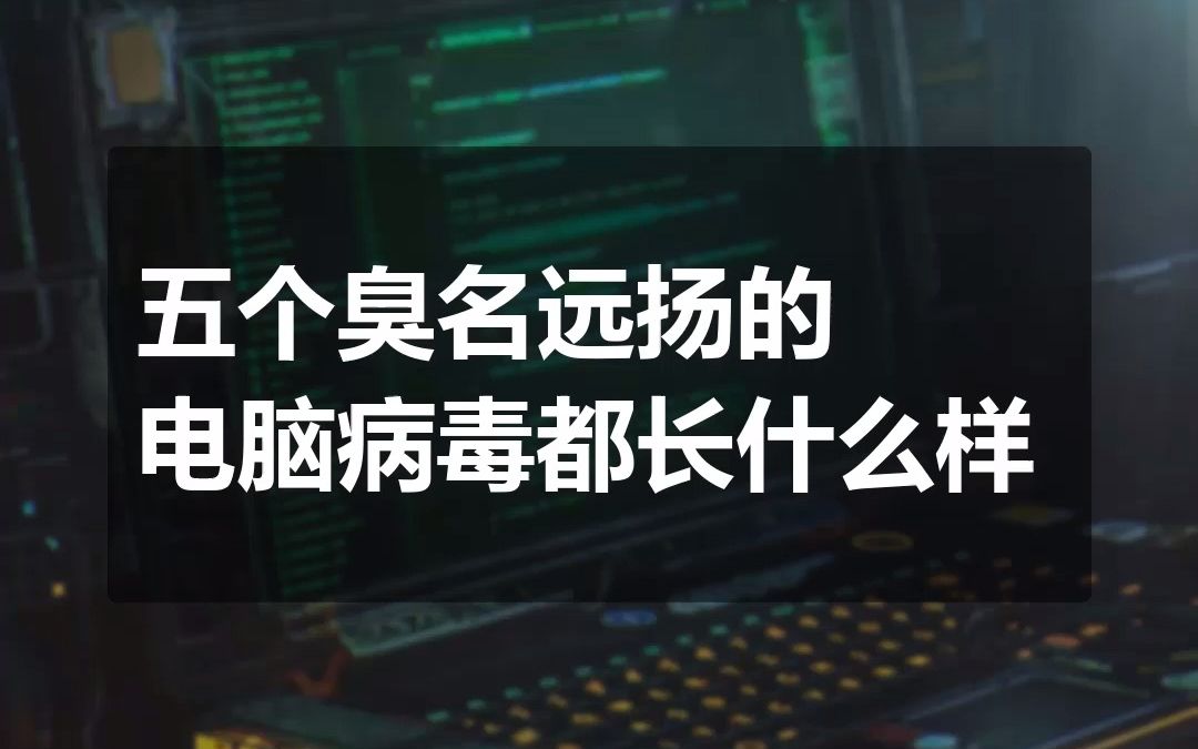 五大臭名昭著的电脑病毒,你们都知道长什么样吗?哔哩哔哩bilibili