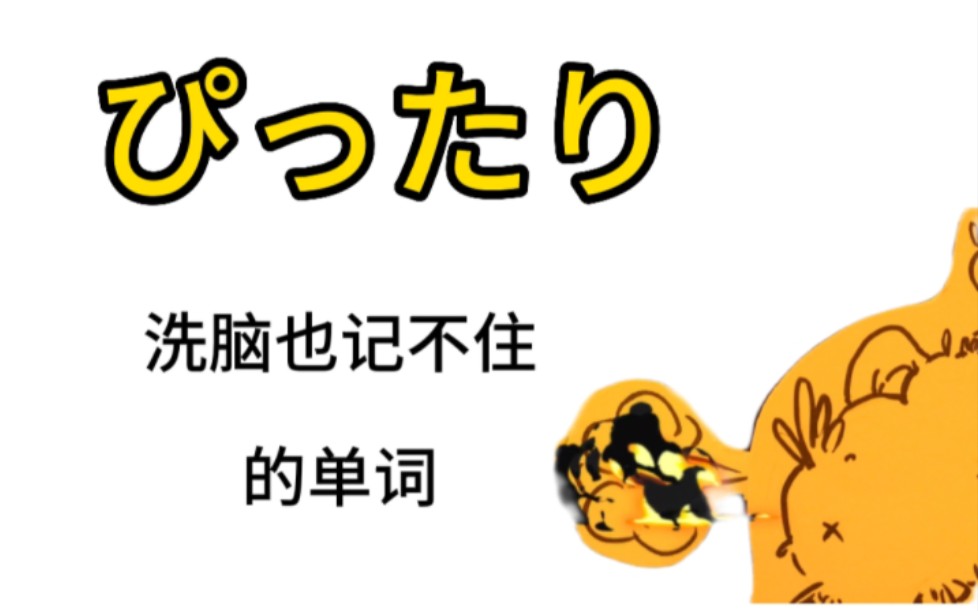 一秒记个日语单词!体验忘不了单词的快乐!ぴったり哔哩哔哩bilibili