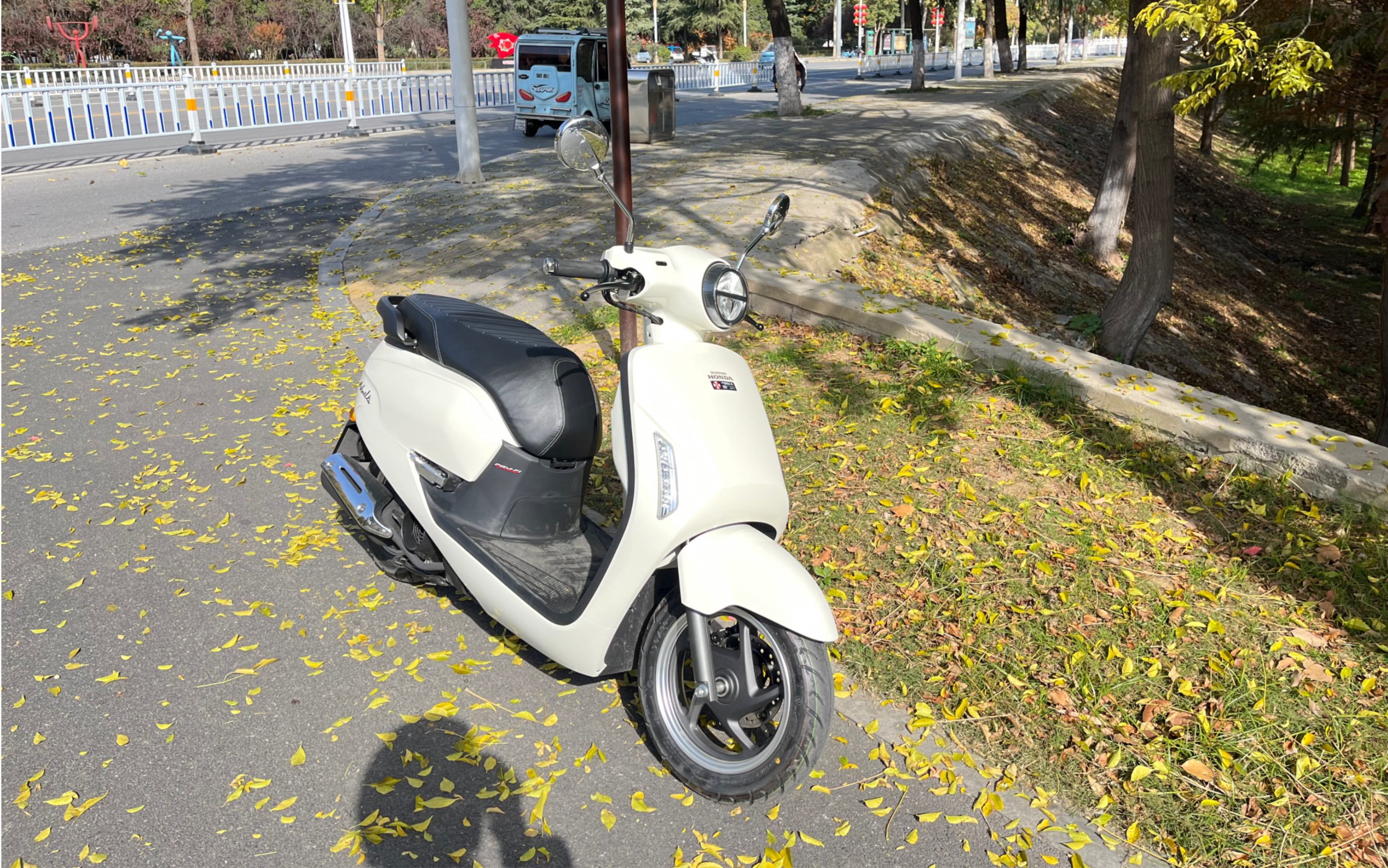 本田幼兽cc110换ns125la,体验