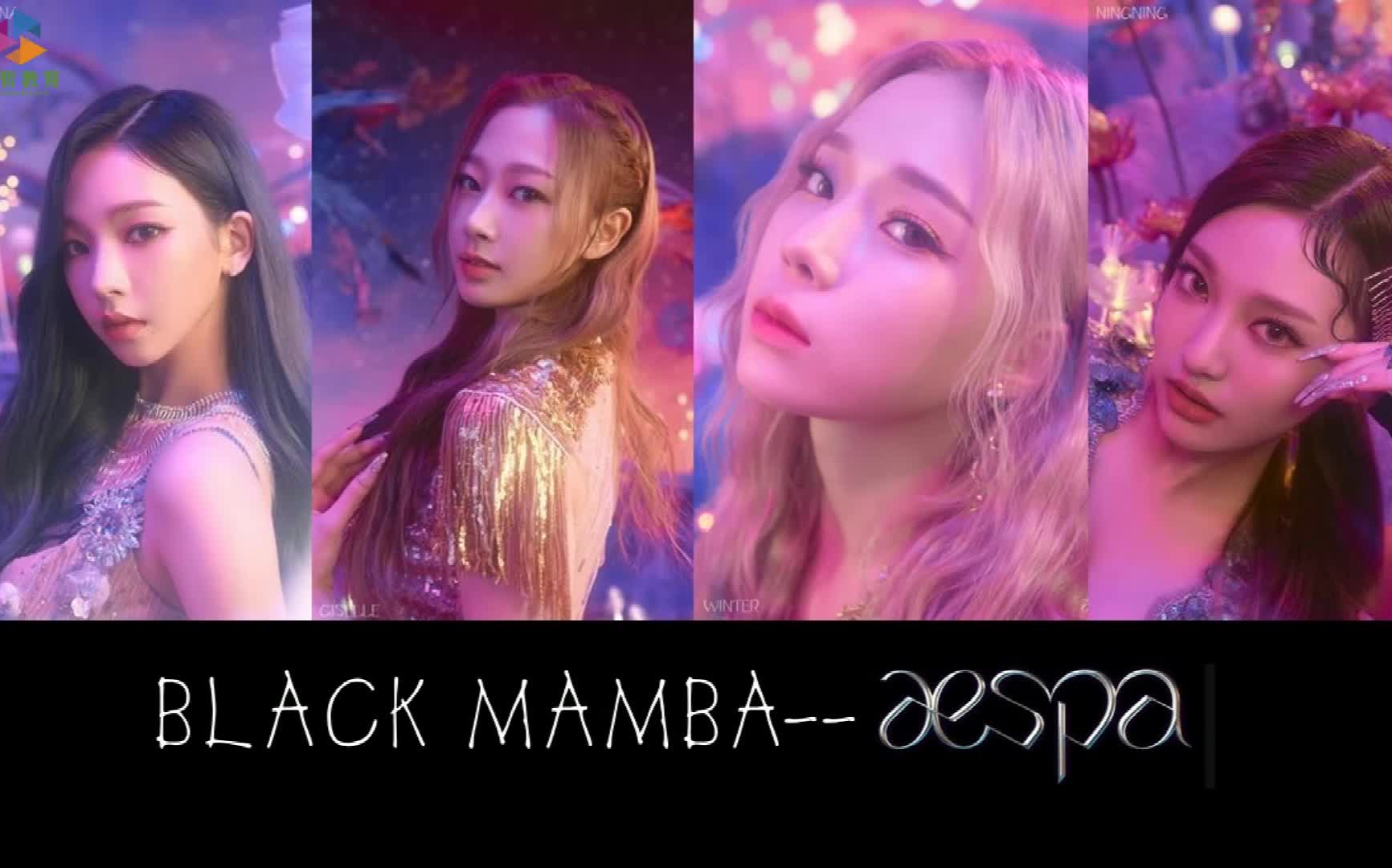 blackmamba成员图片