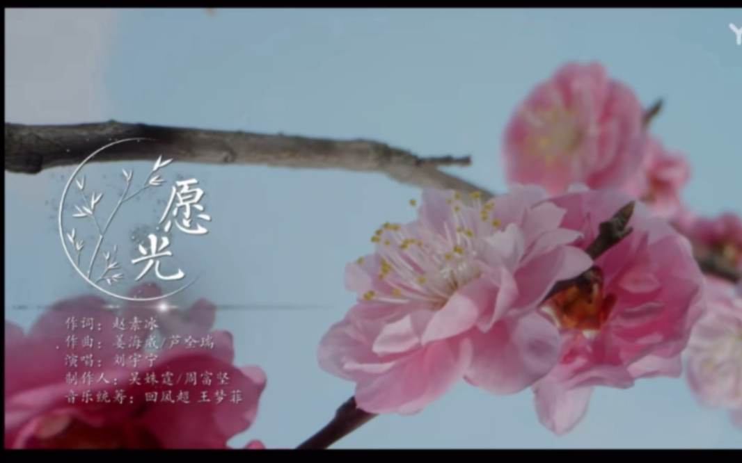 [图]《安乐传》片尾曲《愿光》MV——刘宇宁，愿命运为吾眸中之影而停留，以今生永相伴换世世重相逢。