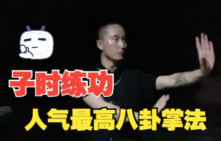 [图]高手熬夜练功！演练程派八卦连环掌！真是绝了！！！