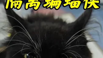 隔离蝙蝠侠，有一段时间没法欺负张果伟了