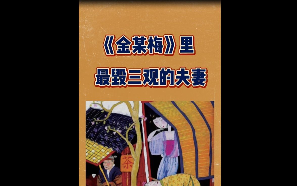 《金某梅》里最毁三观的夫妻哔哩哔哩bilibili