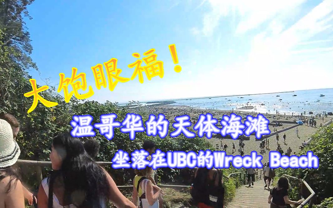 大饱眼福!温哥华的天体海滩,坐落在UBC的Wreck Beach哔哩哔哩bilibili