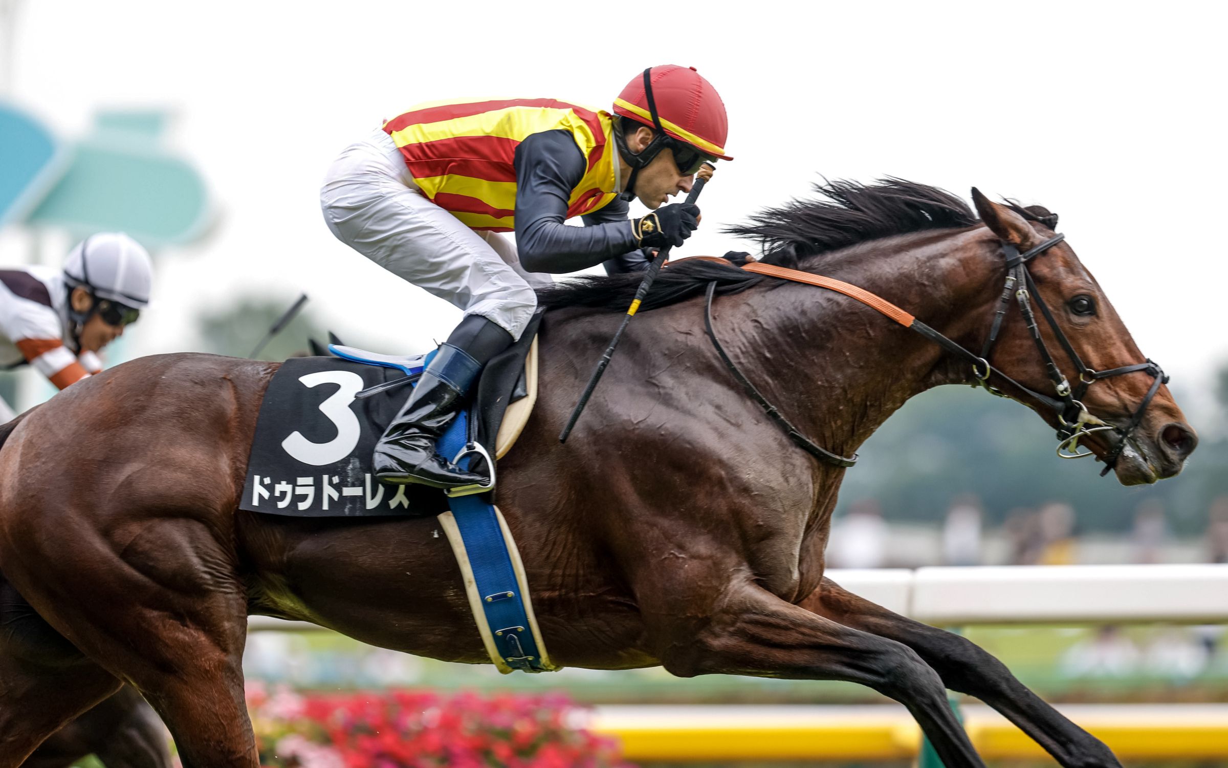 【日本赛马】6月24日 东京11r 江之岛s ドゥラドーレス(杜莱斯)