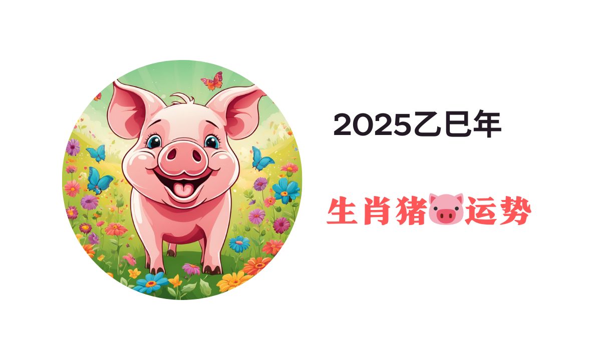 2025运势生肖猪感情(2025年猪人命运)