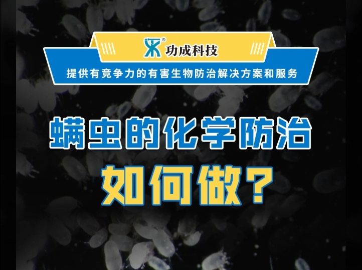 螨虫的化学防治如何做?哔哩哔哩bilibili