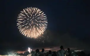 独占生放送 第40回隅田川花火大会7 29 哔哩哔哩 つロ干杯 Bilibili 独占生放送 第40回隅田川花火大会7 29 哔哩哔哩 つロ干杯 Bilibili