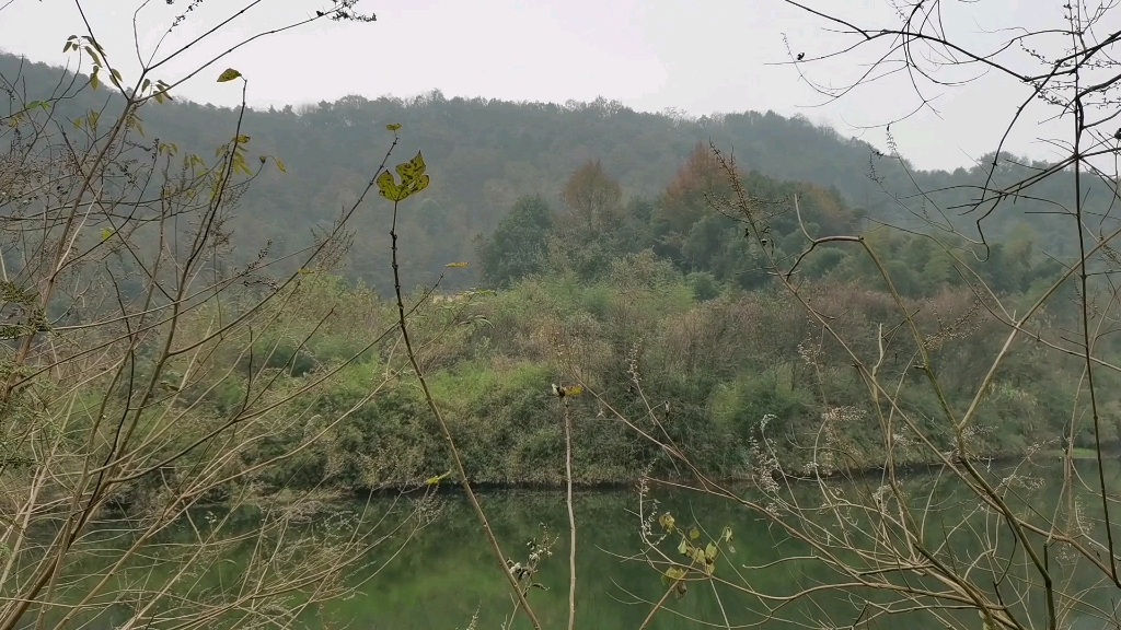 交塘好山水,玉屏土开大帐,帐中垂落嫩脉,结金穴,水聚名堂,后有靠,前有照,山环水绕!哔哩哔哩bilibili