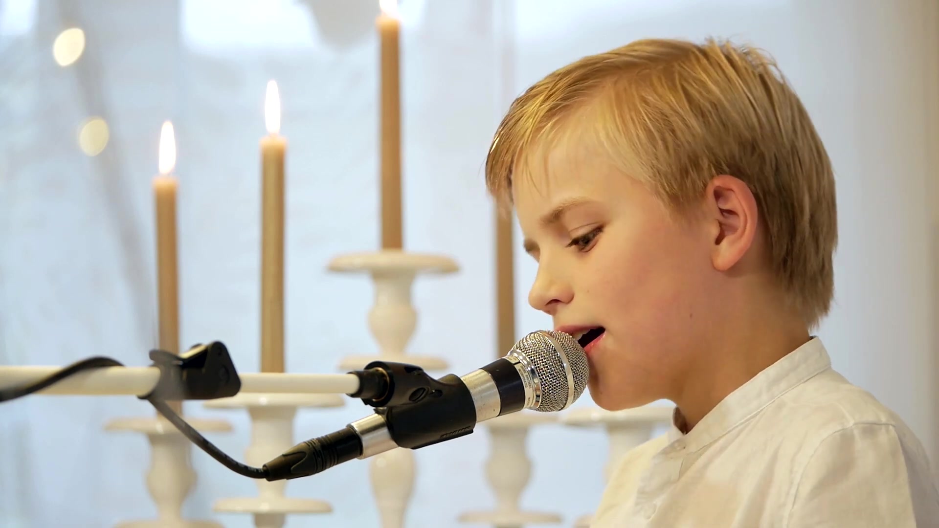 【phil schaller】天使系金发男孩自弹自唱獅子王主題曲 the lion