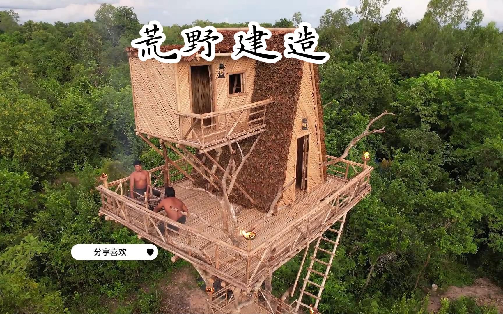 [图]荒野建造 — 树上别墅