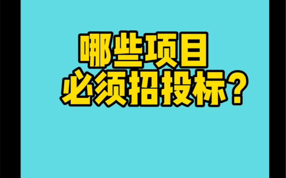 必须招投标的项目哔哩哔哩bilibili