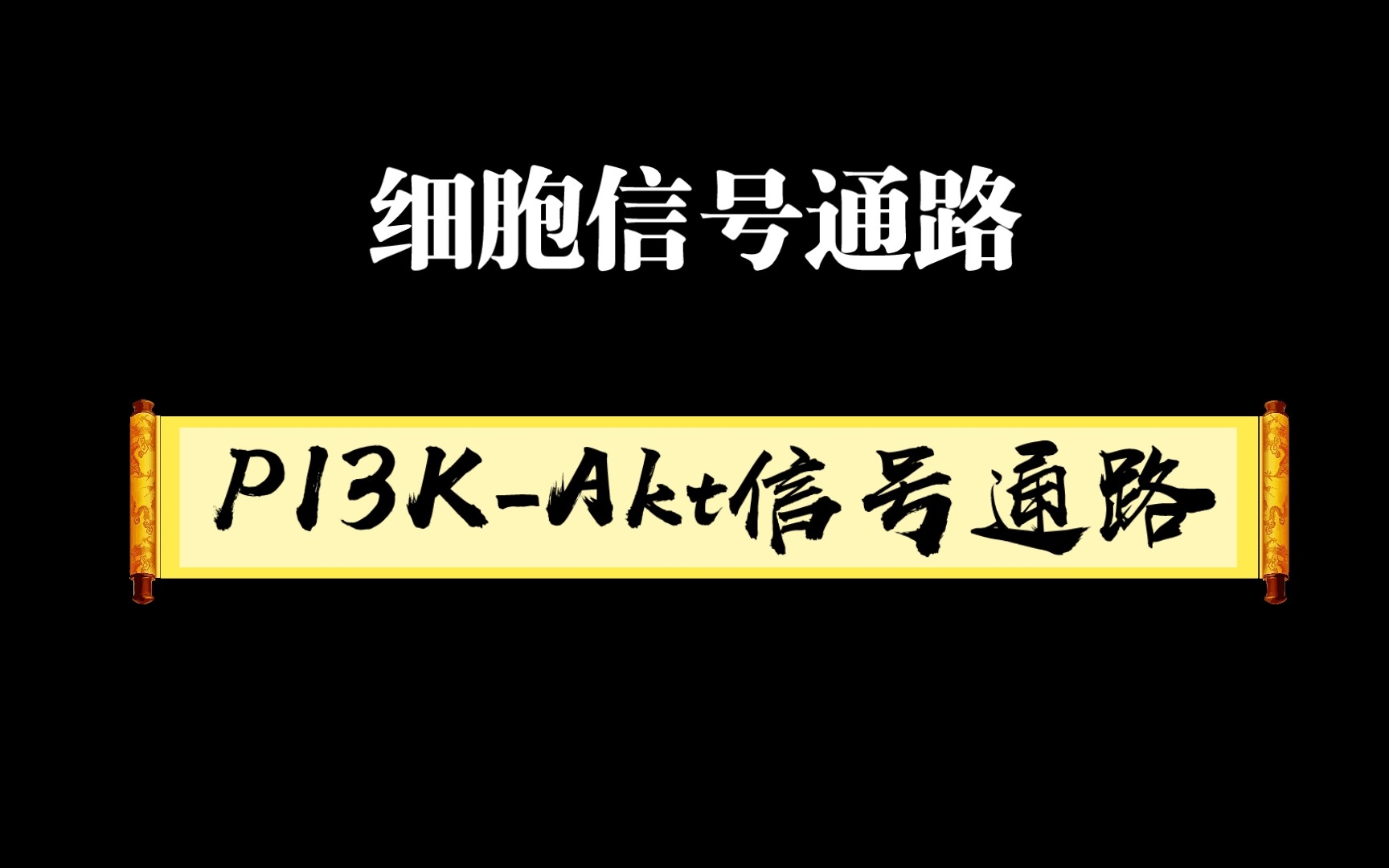 [图]细胞信号通路系列6一PI3K-Akt