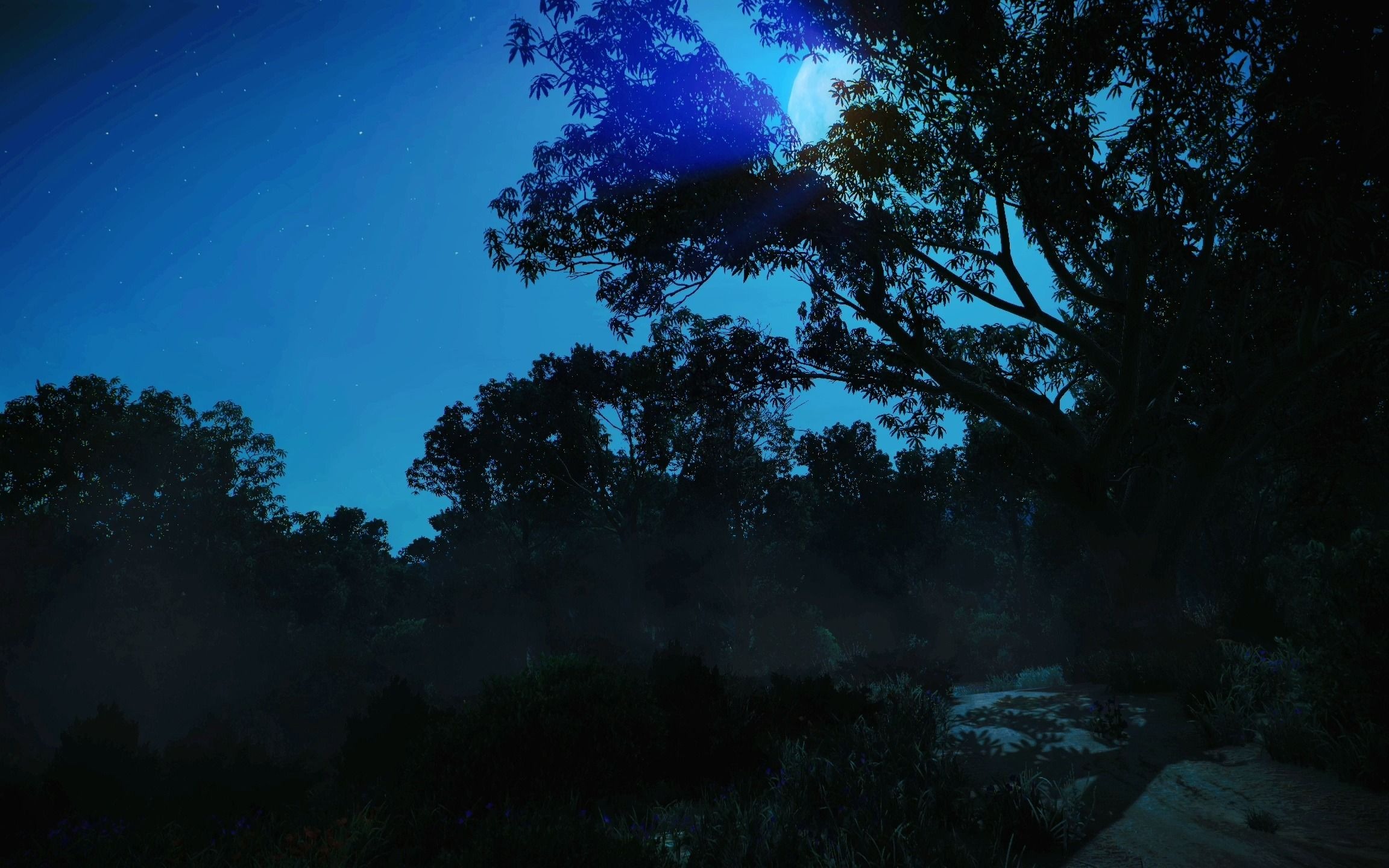 你眼中倒映的星河烂漫,是我不曾见过的世外梦幻