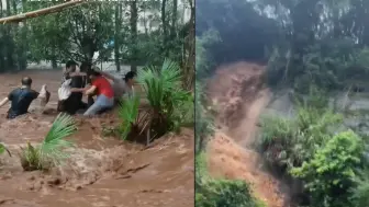 Download Video: 重庆一景区突发山洪，多位游客水中抱树求救，附近村民冒险接应