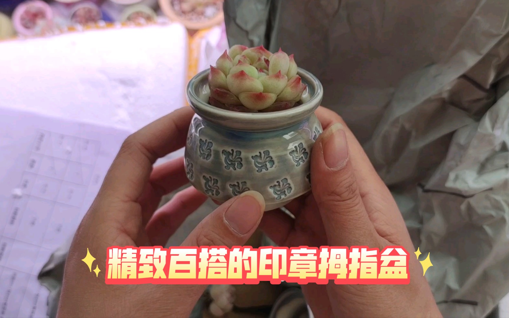 【花盆开箱】为了种群生特意买了个大盆,可惜用不上了,印章小拇指盆真的是好看又百搭哔哩哔哩bilibili