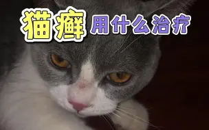 Download Video: 猫癣用什么治疗