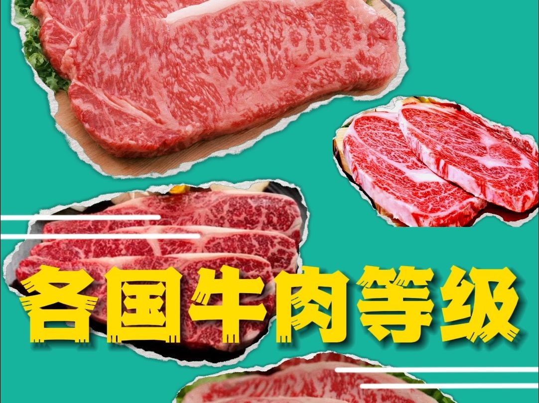 牛肉等级的划分哔哩哔哩bilibili