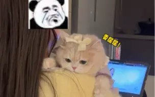 下载视频: 和女朋友冷战期间。她不允许我和她的猫玩