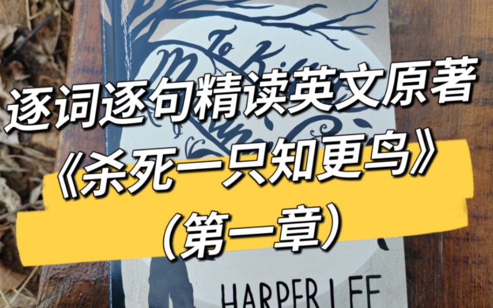 [图]【逐词逐句精读英文原著《杀死一只知更鸟》1】第一章Chapter 1（To kill a mockingbird）（看简介）