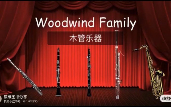 [图]woodwind family 儿童英语启蒙 乐器名称启蒙