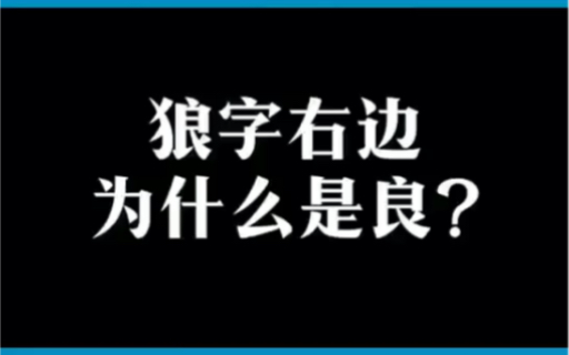 “狼”名字的由来,99%的中国人都不知道!哔哩哔哩bilibili