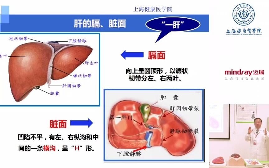 [图]肝的超声解剖 周进祝 上健医