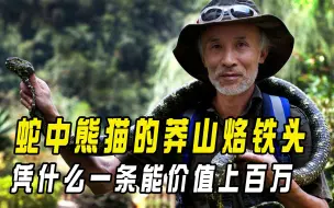 Télécharger la video: 一条价值上百万，堪称蛇中大熊猫，莽山烙铁头为何如此珍贵？