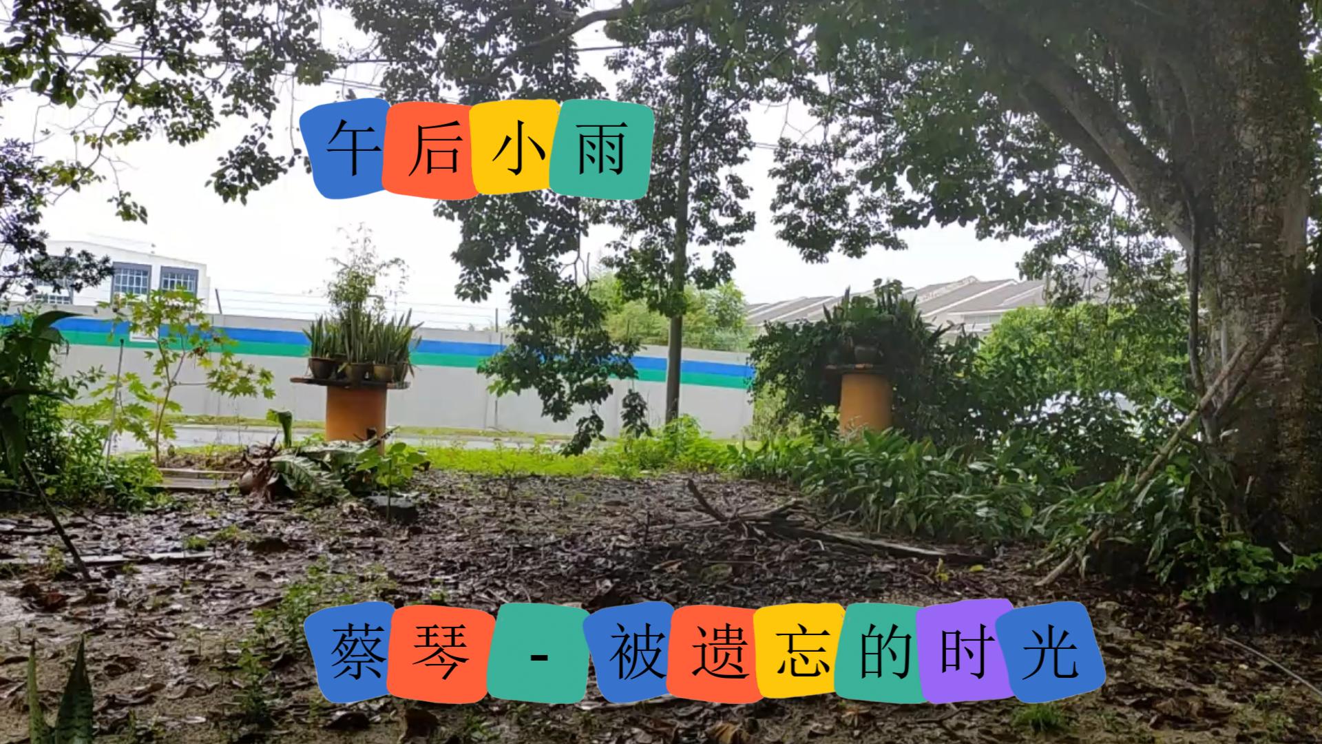 午后小雨 蔡琴  被遗忘的时光哔哩哔哩bilibili