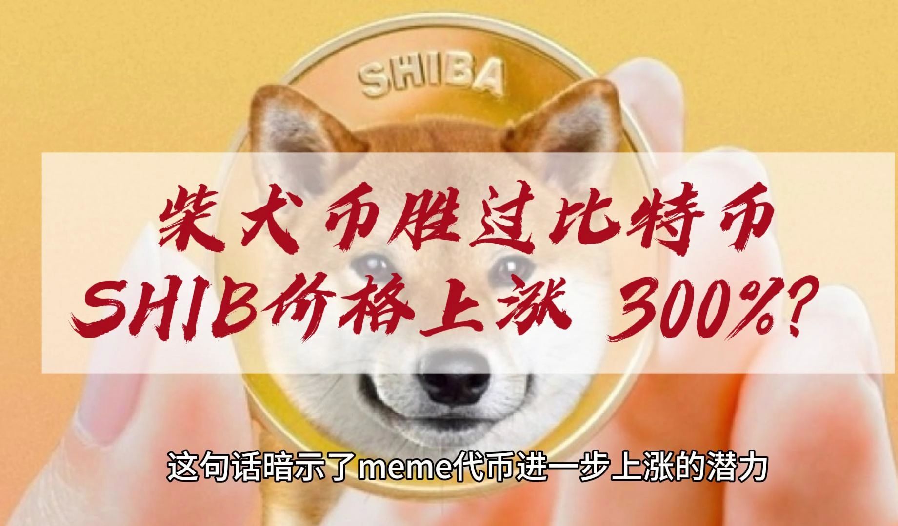 柴犬币领先揭示 SHIB 为何胜过比特币,价格上涨 300%?哔哩哔哩bilibili